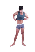 تحميل الصورة إلى عارض المعرض، مجموعة شورتات داخلية 3 بوصات للرجال