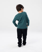 Load image into Gallery viewer, Avengers Hulk Long Sleeve T-Shirt